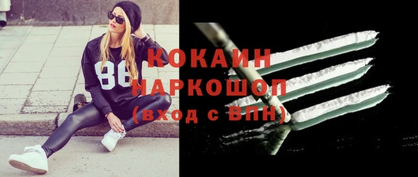 шишки Армянск