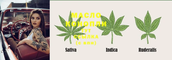 шишки Армянск