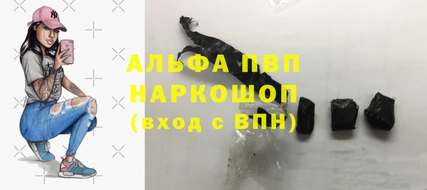 шишки Армянск