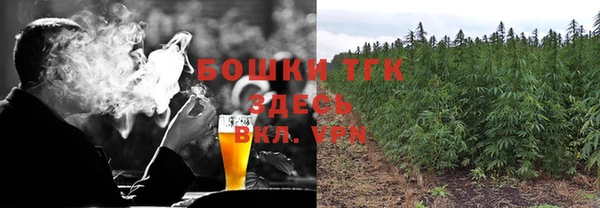СК Аркадак