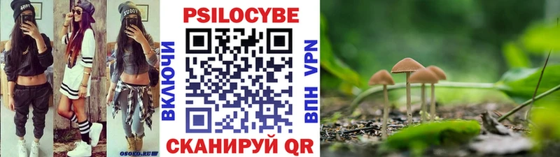 Галлюциногенные грибы Psilocybe  закладка  Нововоронеж 