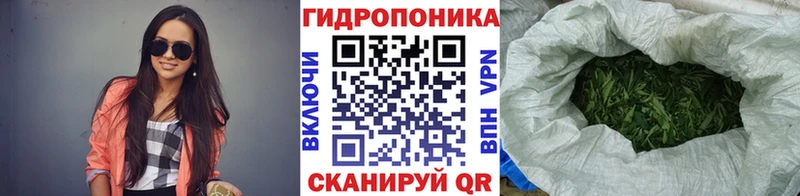 Бошки Шишки план  купить наркотики цена  Нововоронеж 